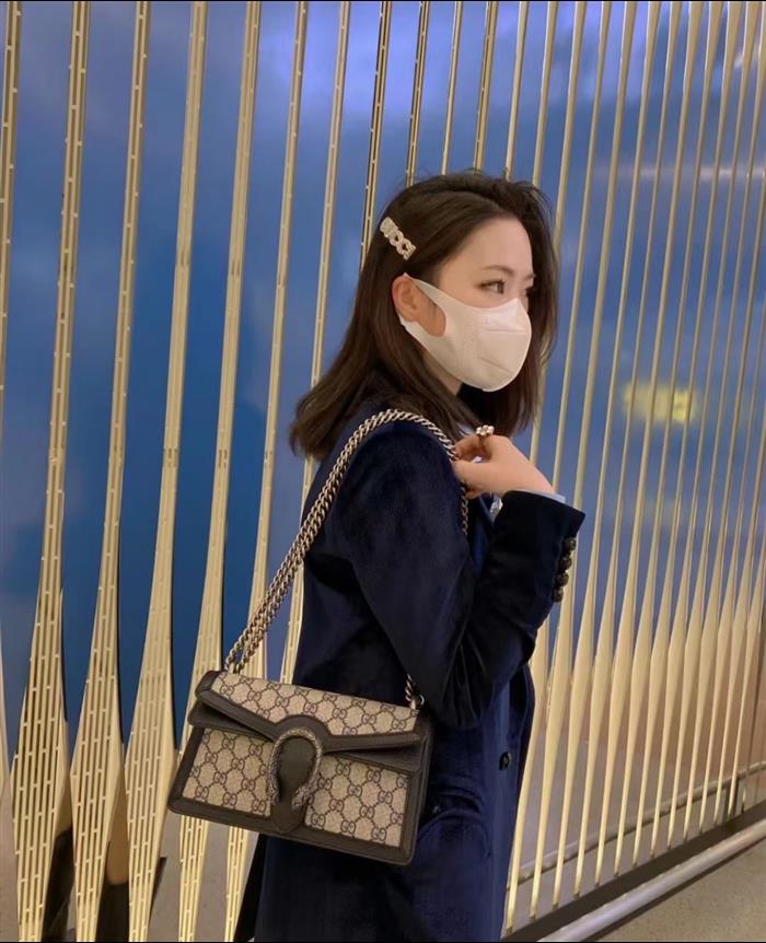 202529C499623N164045405