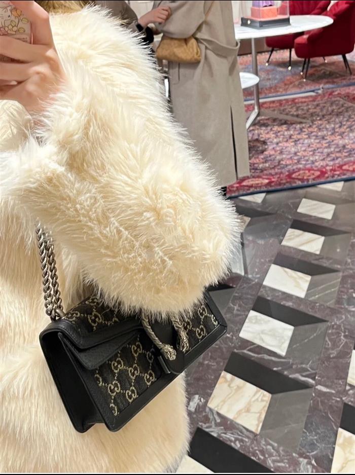 202529C499623N16404587