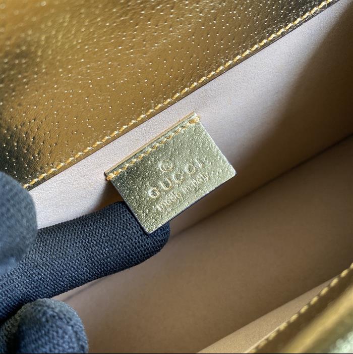 202529C499623N164046435