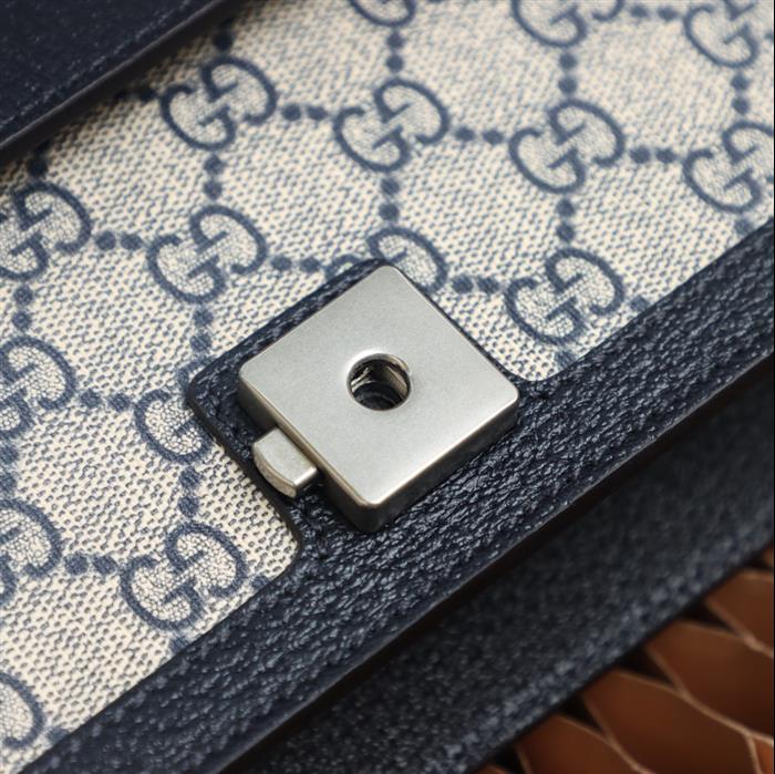 202529C499623N164046732