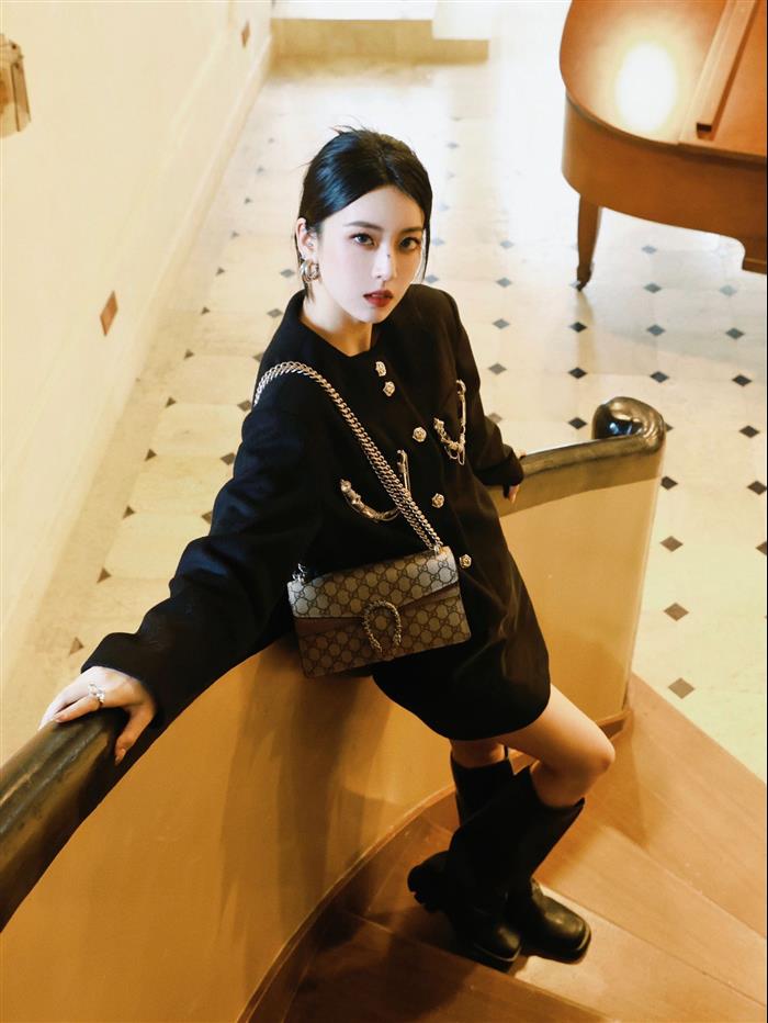 202529C499623N164046964