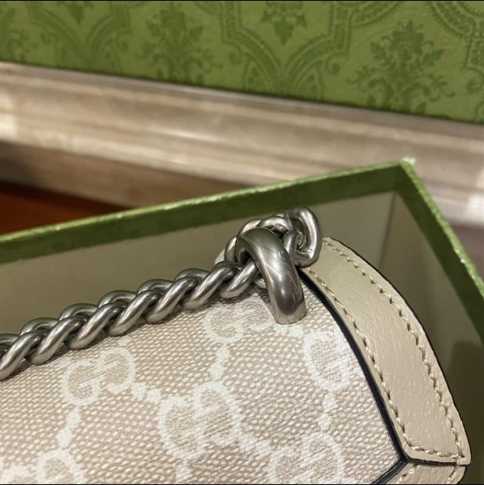 202529C499623N164047153