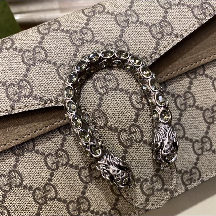 202529C499623N164047684