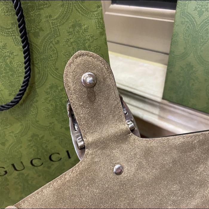 202529C499623N164047746