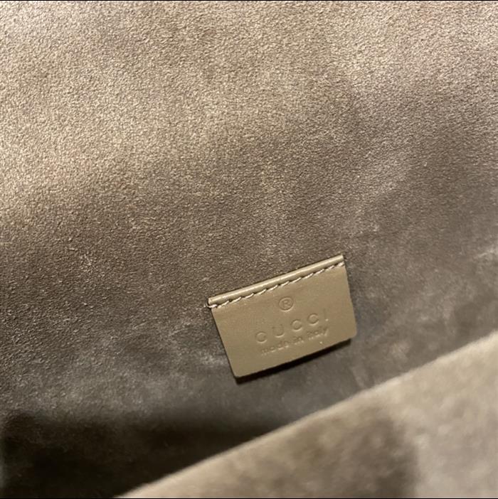 202529C499623N164047761