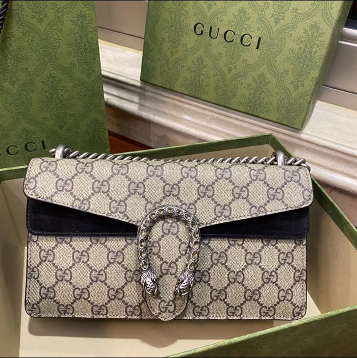 202529C499623N164047778