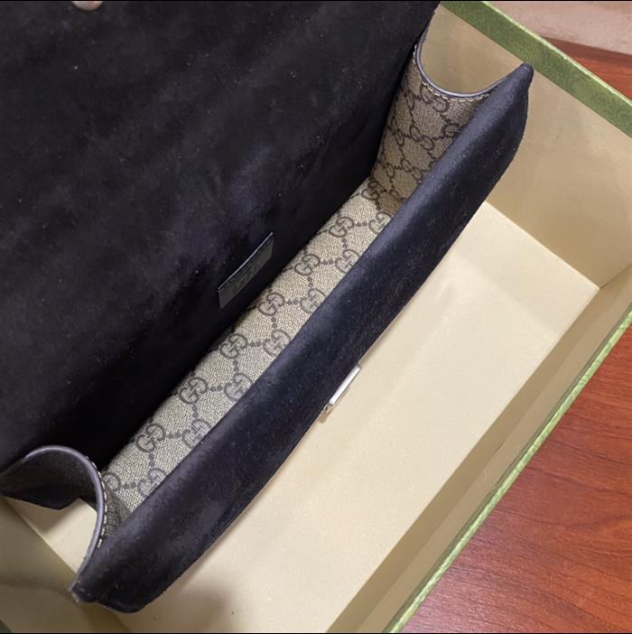 202529C499623N164047889