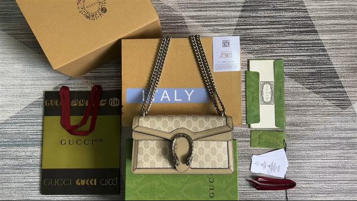 202529C499623N164047920