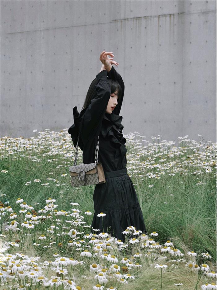 202529C499623N164047935