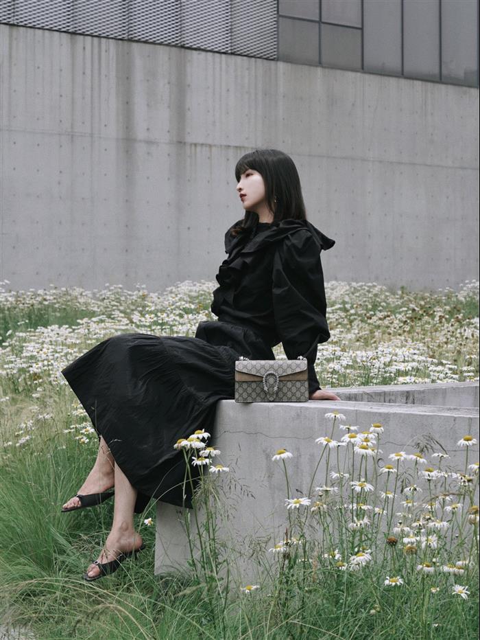 202529C499623N164047950