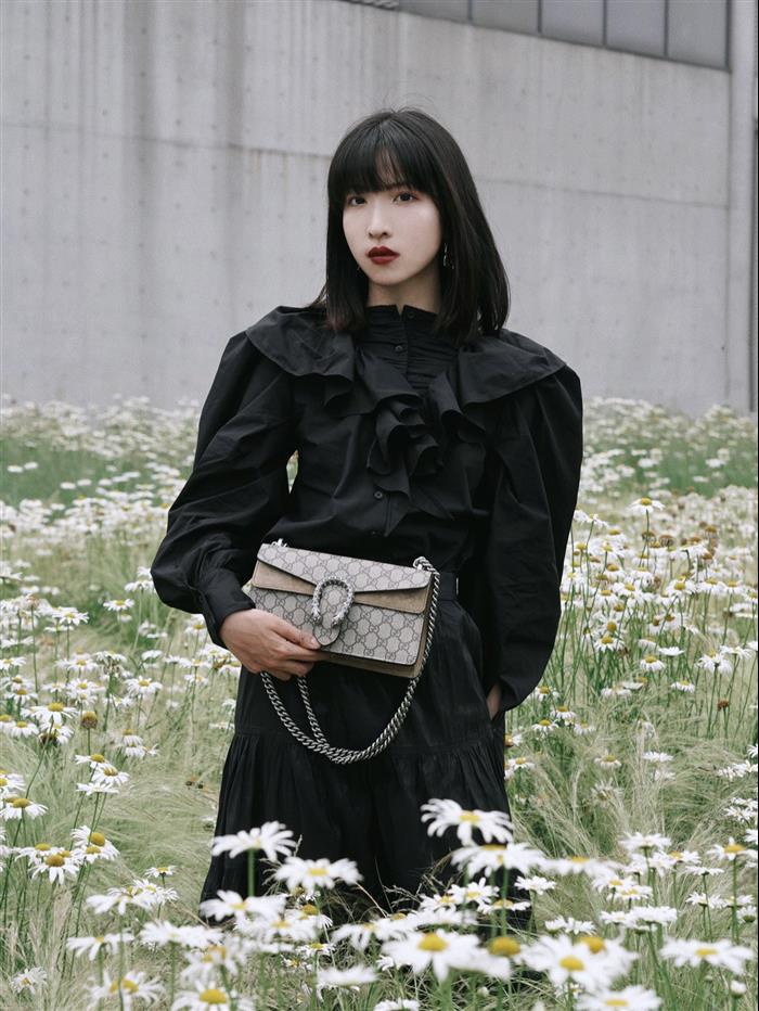 202529C499623N164047966