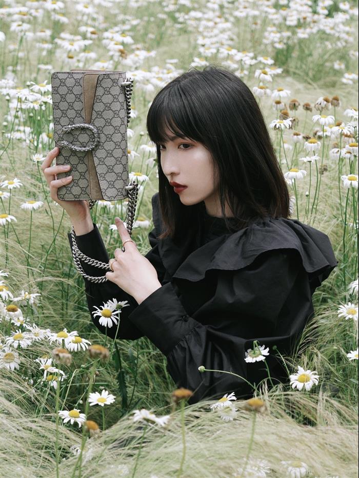 202529C499623N164047982