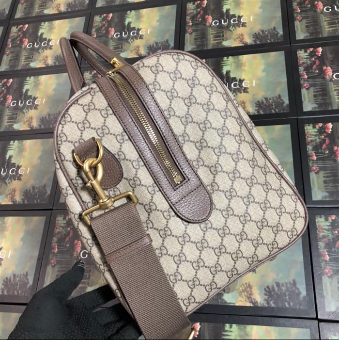 202529C547953N164033447