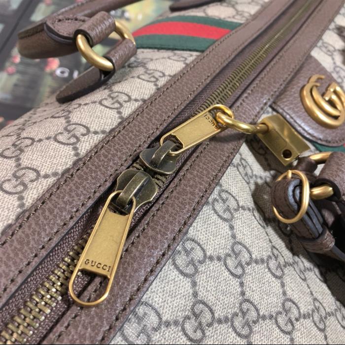 202529C547953N164033540