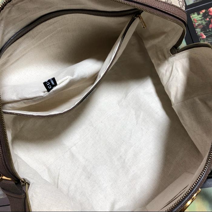 202529C547953N164033556