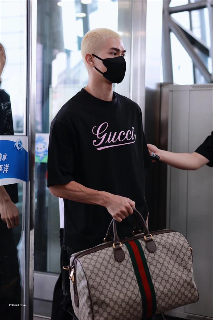 202529C547953N164033636