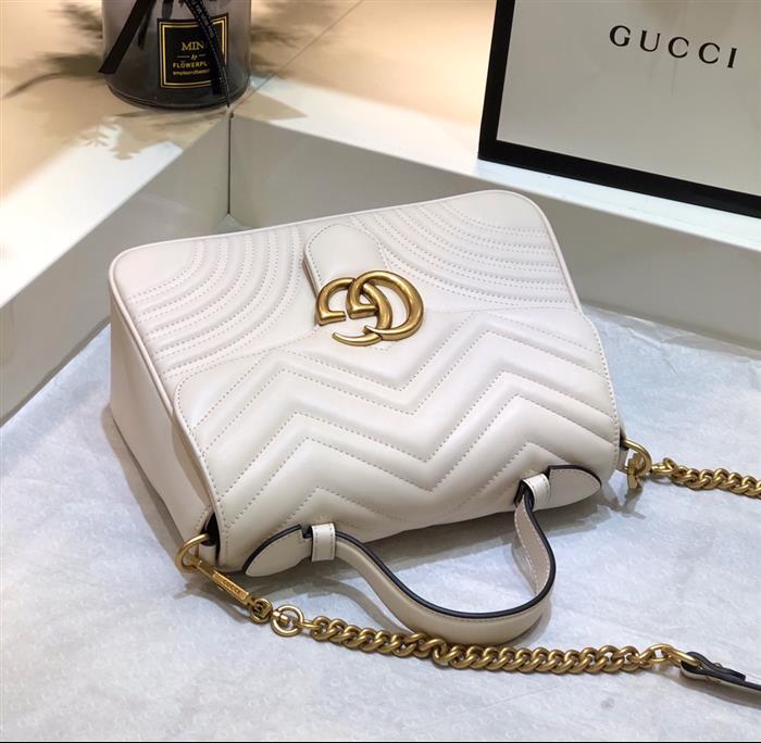 202529C498110N164022264