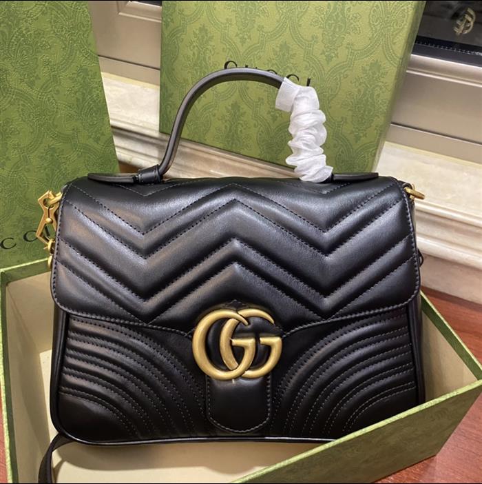 202529C498110N164022311