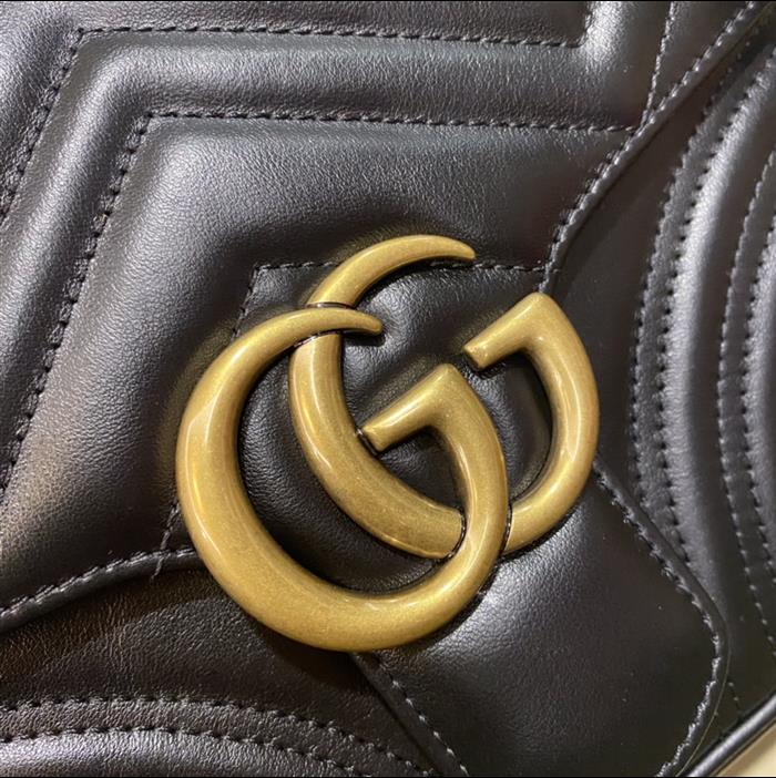 202529C498110N164022358