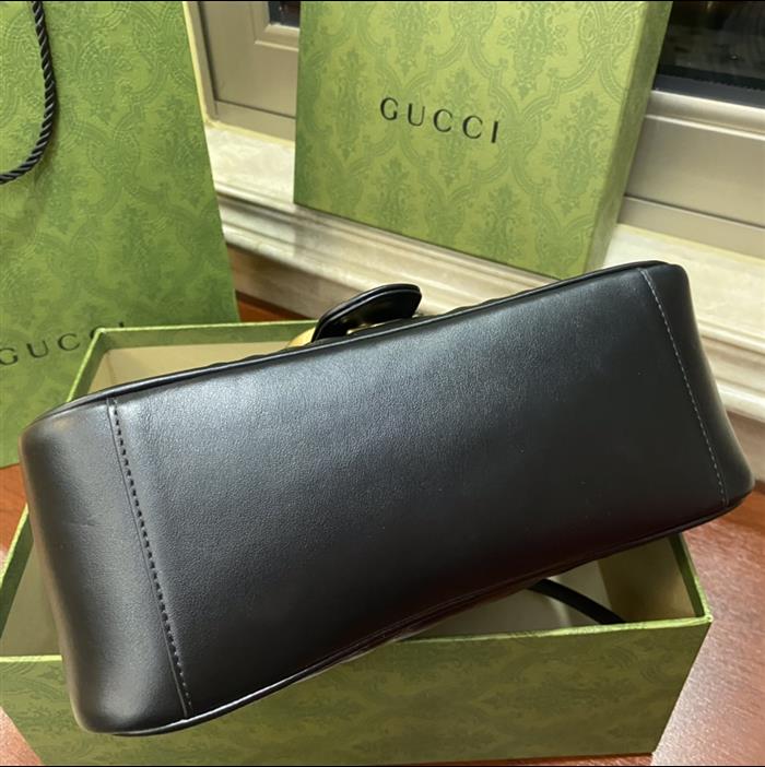 202529C498110N164022405