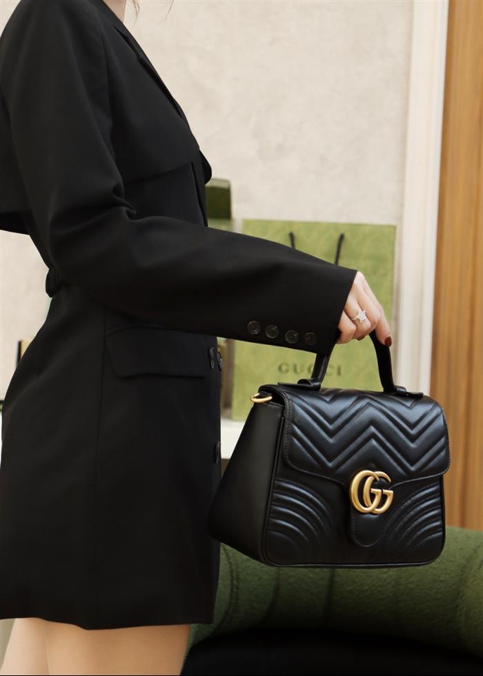 202529C498110N164022691