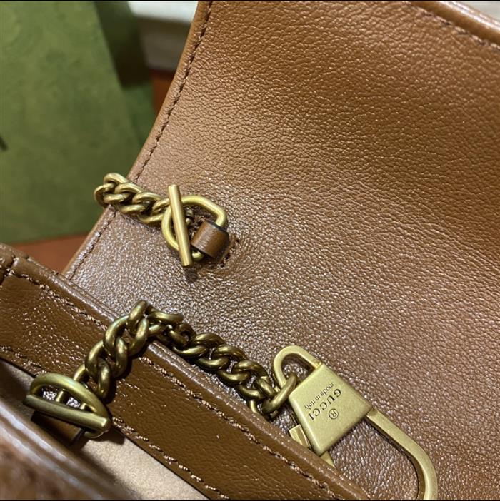 202529C574969N164023364