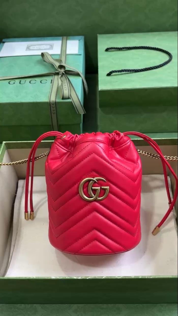 202529C575163N164023662