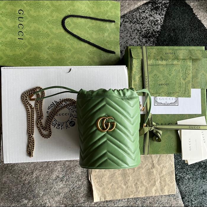 202529C575163N164023678