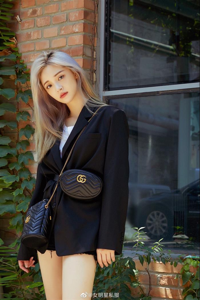 202529C575163N164024162