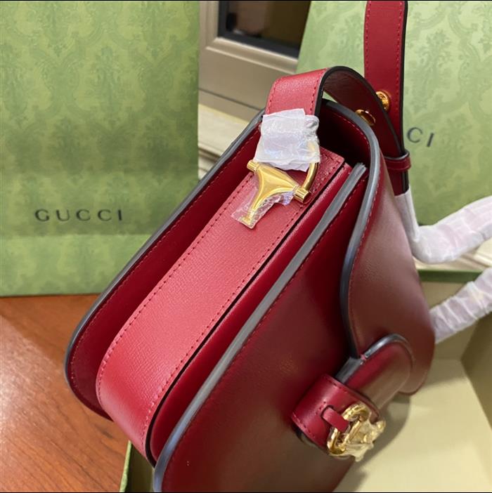 202529C602204N164056109