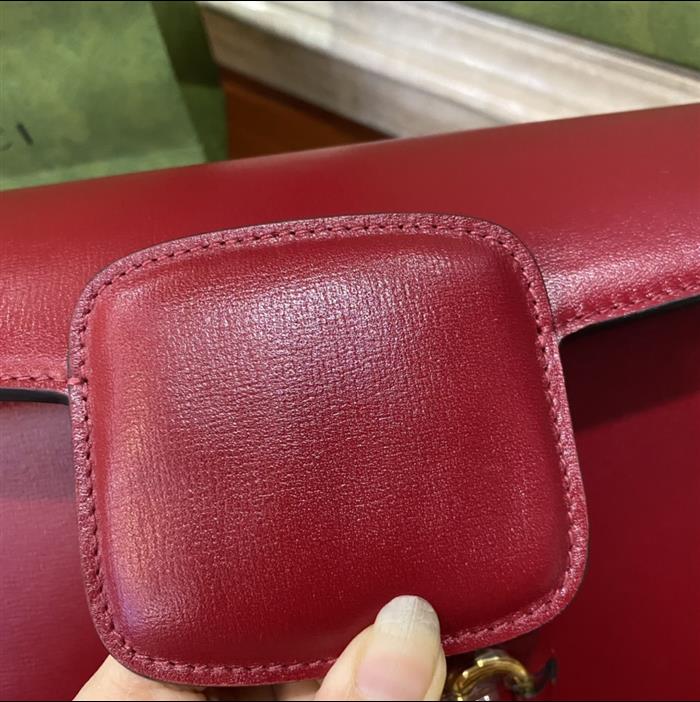 202529C602204N164056141