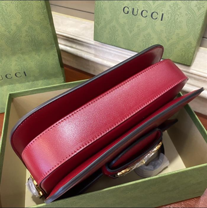 202529C602204N164056156