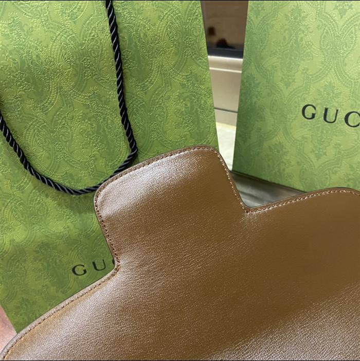 202529C602204N164056312