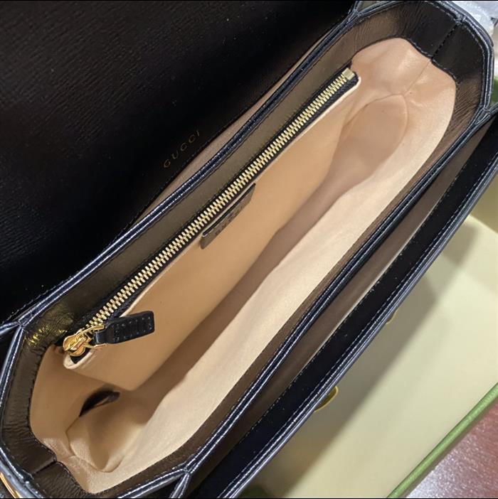 202529C602204N164056485