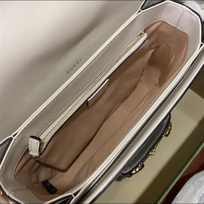 202529C602204N164056612