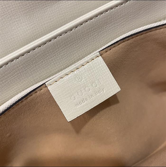 202529C602204N164056627