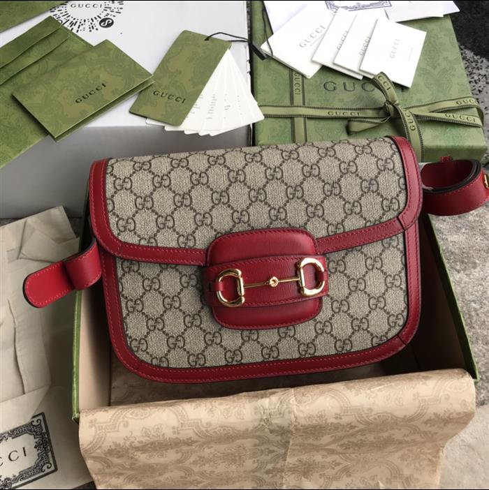 202529C602204N164056659