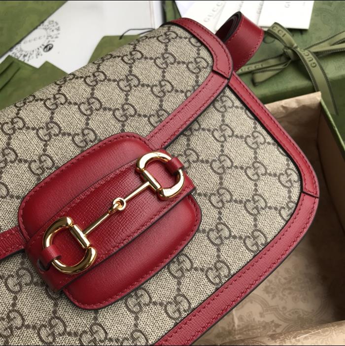 202529C602204N164056704