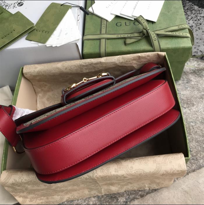 202529C602204N164056720