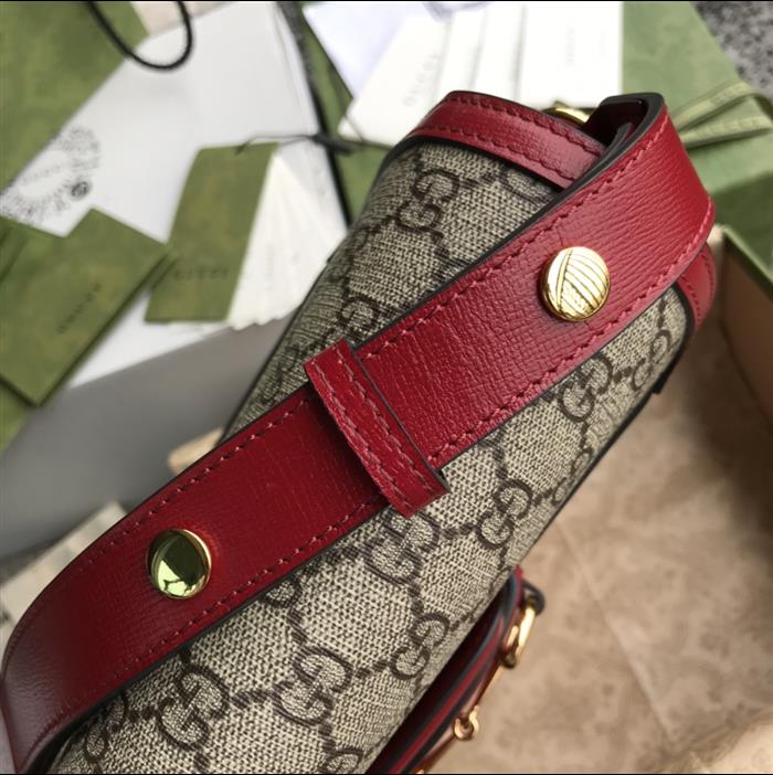 202529C602204N164056736