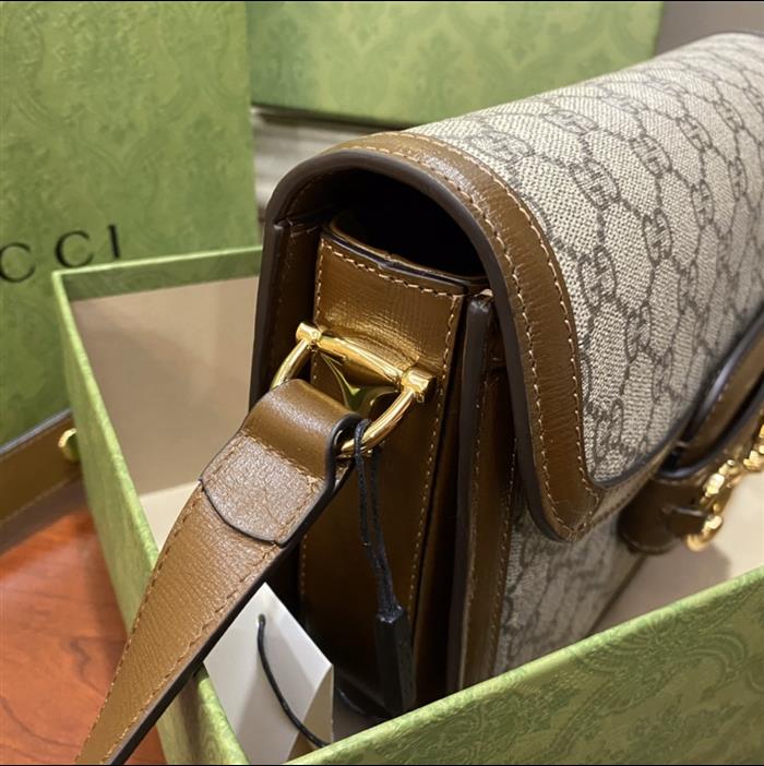 202529C602204N164056814