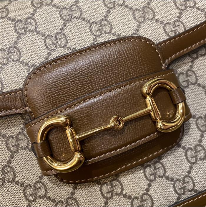 202529C602204N164056848