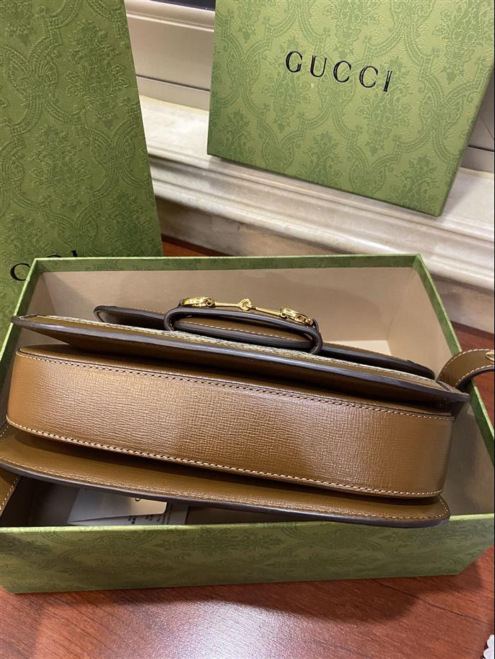 202529C602204N164056862