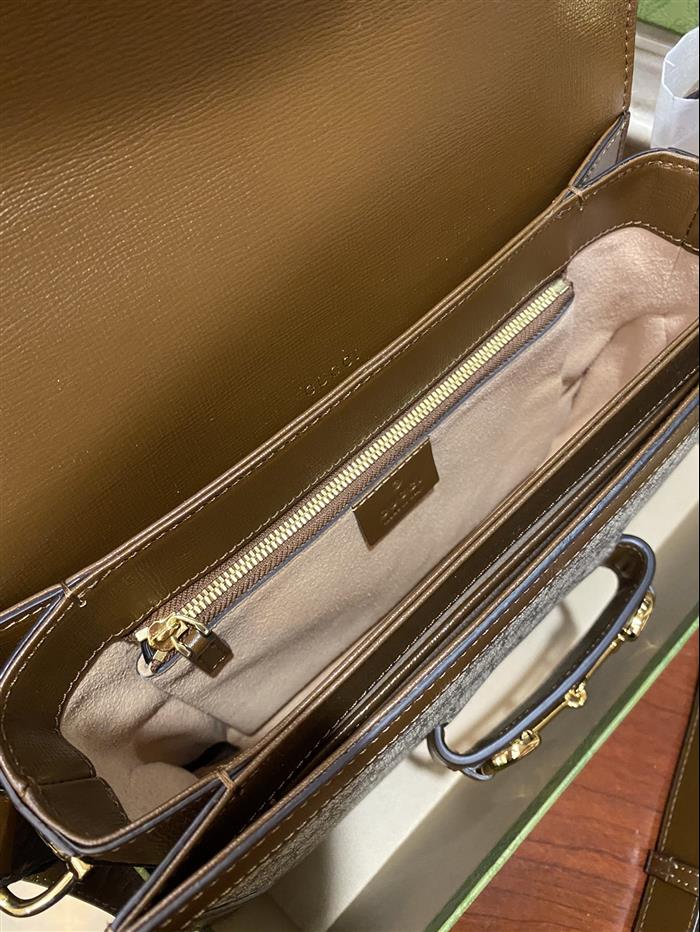 202529C602204N164056909