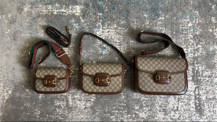 202529C602204N164057161