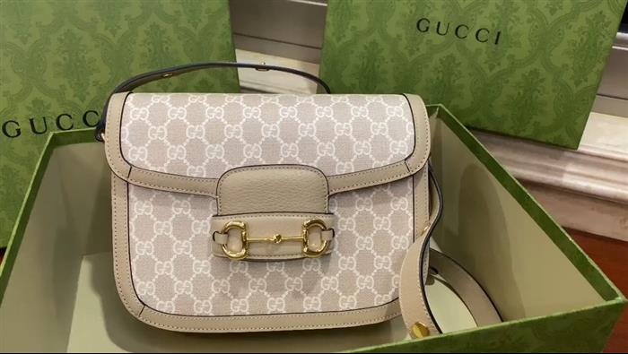 202529C602204N164057333