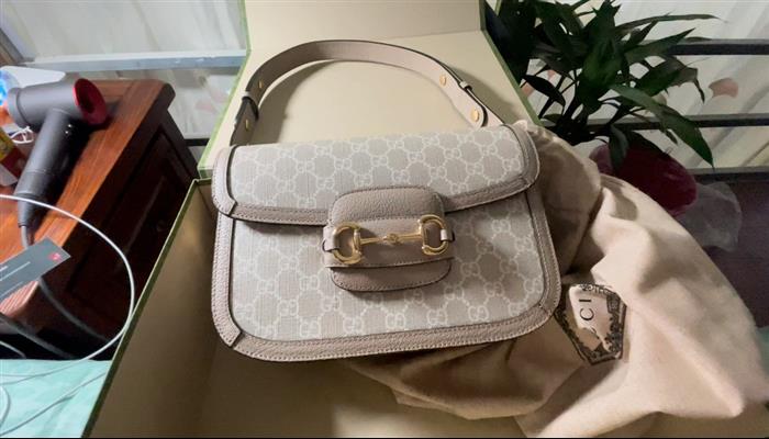 202529C602204N164057502