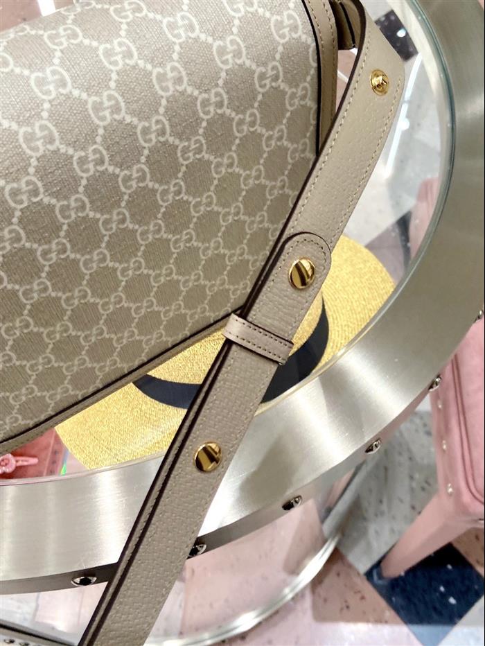 202529C602204N164057563