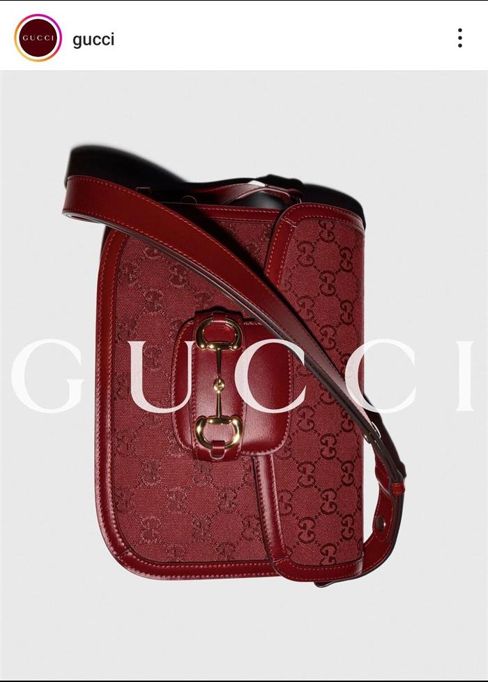 202529C602204N164057891