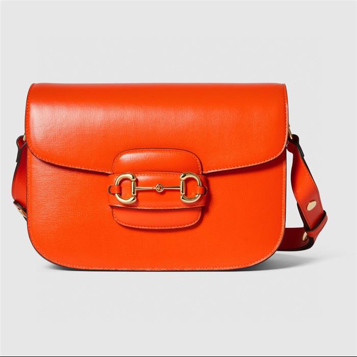 202529C602204N164058709